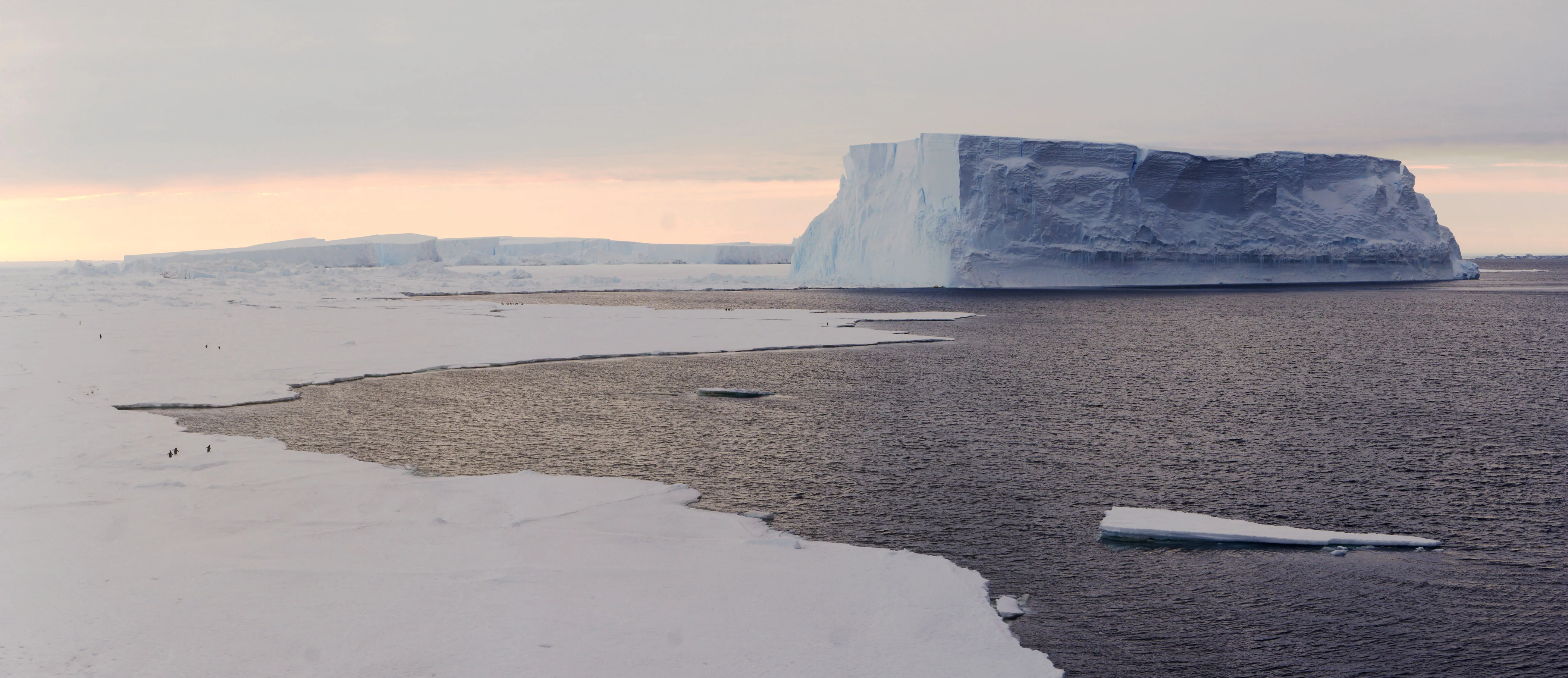 A panoramic photo of a gigantic tabluar iceberg surrounded by ice and water, with small groups of penguins.
