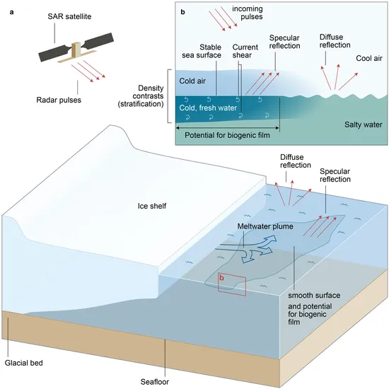 A block diagram showing the mechanism for lower radar backscatter in meltwater plumes.