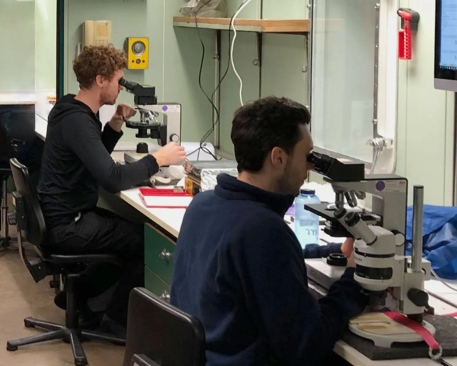 Two scientists in a green laboratory looking through microscopes which are tied down to the table.